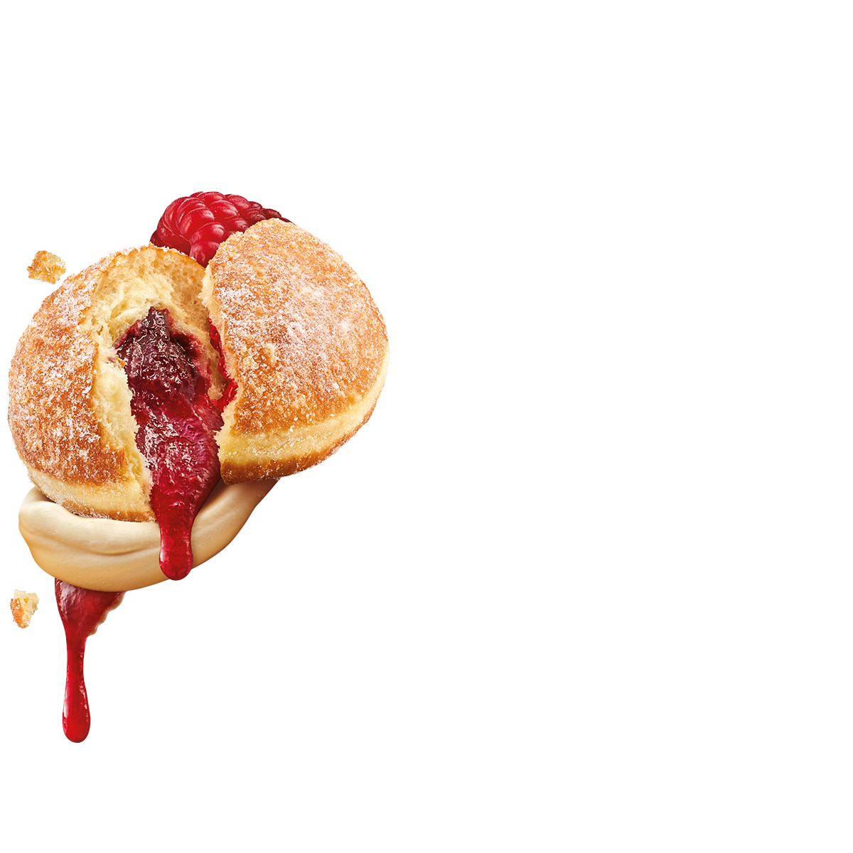 Jam Doughnut Connoisseur