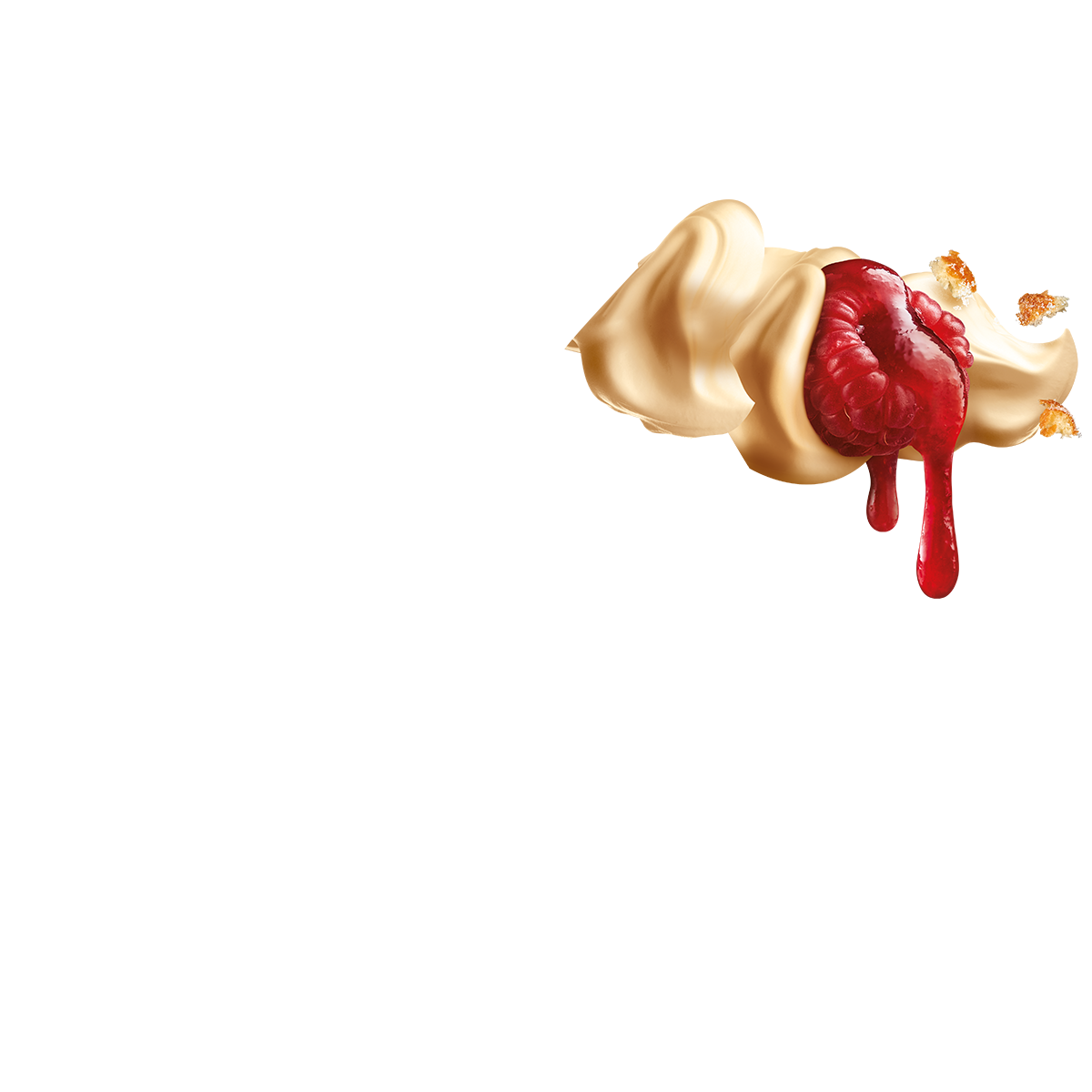 Jam Doughnut Connoisseur